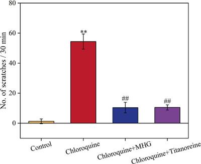 Mechanism of medical hemorrhoid gel in relieving pruritus ani via inhibiting the activation of JAK2/STAT3 pathway